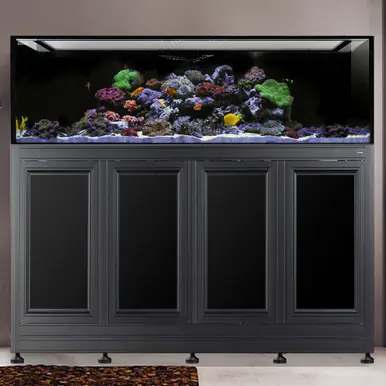 IM INT 240 Gallon Aquarium w/ APS Stand - Black (Made to Order)