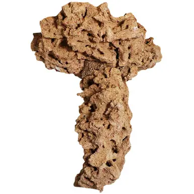Caribsea Moani Shrooms 2 pk