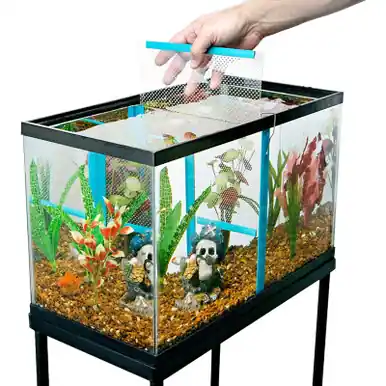 Large Tank Divider 11 3/8" x 11 3/8" - PenPlax