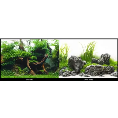Seaview Greenspike / Amazonia 24" Double Sided Background (sold per foot) - Fluval