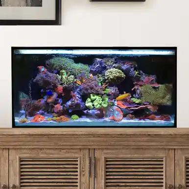 IM NUVO Fusion 25 Lagoon - Starter Kit