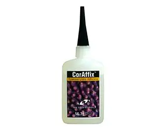 Two Little Fishes CorAffix 2oz. Coral Glue, Cyanoacrylate Adhesive - Two Little Fishies