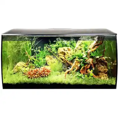 Fluval Flex 32 Gal. Aquarium Combo - Black