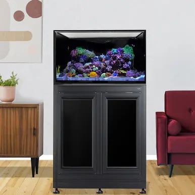 IM INT 75 Aquarium w/ APS Stand - Black