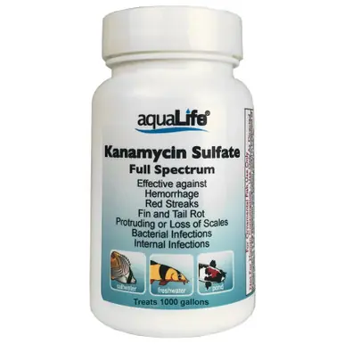 Kanamycin Sulfate - Treats 1000 Gallons