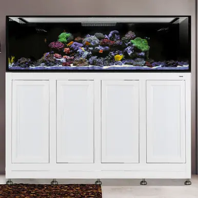 IM EXT 240 Gallon Aquarium w/ APS Stand - White (Made to Order)