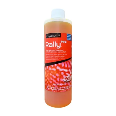 Ruby Reef Rally Pro 16 oz.