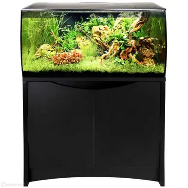 Fluval Flex 32 Gal. Full Kit w/Stand - Black