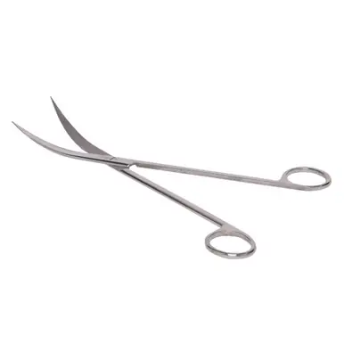 Curved Aquatic Plants Scissors 10" long - AquaCave
