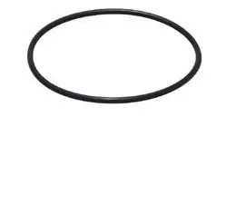 ASM Replacement Outlet O-Ring Fits: G-4, G-4+, G-4x, G-5, G-6