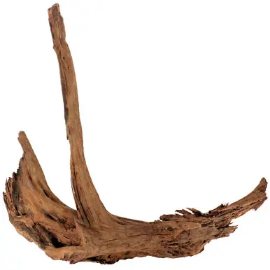 Malaysian Driftwood, XXXL 33" - 50"