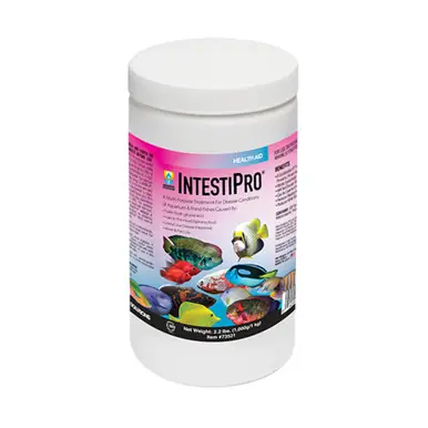 Hikari IntestiPro 2.2 lbs - Treats 2000 Gallons