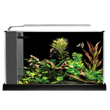 Fluval SPEC V Desktop Aquarium Kit - Black - 5 gal.