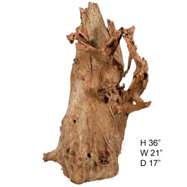 Malaysian Driftwood, Super WYSIWYG 36" x 21" - AquaCave