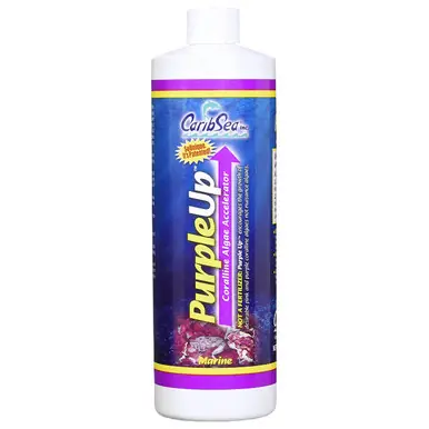 Caribsea Purple Up 16 oz