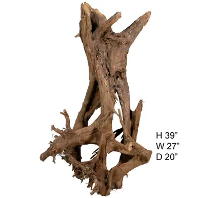 SOLD - Malaysian Driftwood, Super WYSIWYG 39" x 27"