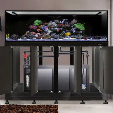 IM INT 240 Gallon Complete Reef System – Black (Made to Order) - Innovative Marine