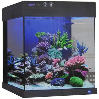 JBJ 15 gal. Cubey Aquarium - Black