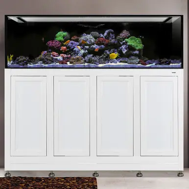 IM INT 240 Gallon Aquarium w/ APS Stand - White (Made to Order)