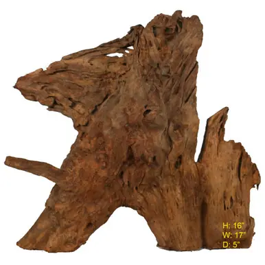 SOLD - Malaysian Driftwood, Super WYSIWYG 16" x 17"