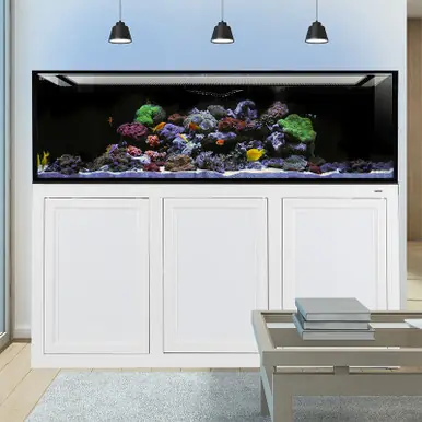 IM INT 200 Aquarium w/ APS Stand - White (Made to Order)