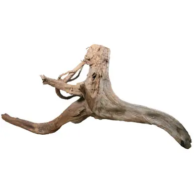 SOLD - Malaysian Driftwood, Super WYSIWYG 28" x 57"
