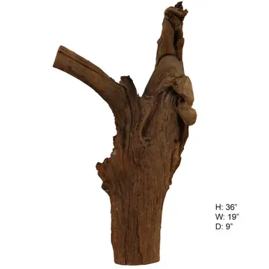 Malaysian Driftwood, Super WYSIWYG 36" x 19" - AquaCave