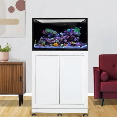 IM INT 75 Aquarium w/ APS Stand - White