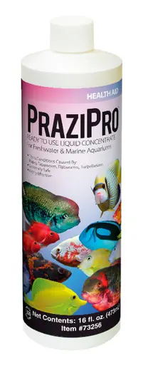 Hikari PraziPro Parasite Treatment, 16 oz.