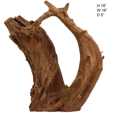 Malaysian Driftwood, Super WYSIWYG 19" x 16" - AquaCave