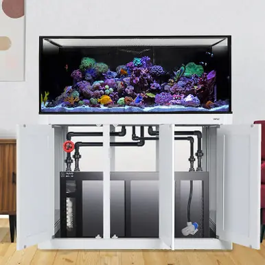 IM INT 150 Gallon Lagoon Aquarium Complete Reef System – White (Made to Order) - Innovative Marine