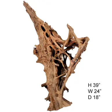 Malaysian Driftwood, Super WYSIWYG 39" x 24" - AquaCave