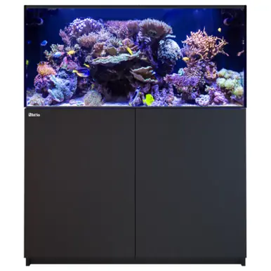 Red Sea REEFER 425 G3, 88 Gal. Aquarium Kit, Black