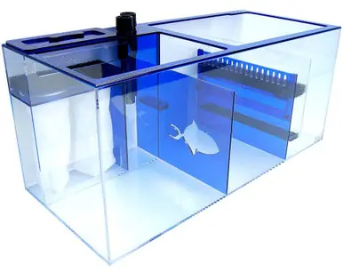 Trigger Systems Sapphire 34 Refugium Sump