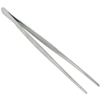 12" Specimen Forceps Stainless Steel - AquaCave