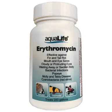 Erythromycin – Treats 200 Gallons - AquaLife