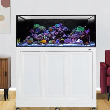 IM INT 100 Aquarium w/ APS Stand - White