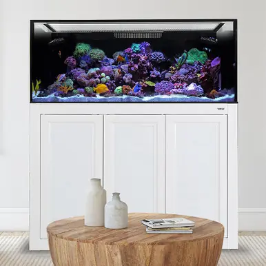 IM EXT 170 Gallon Complete Reef System – White - Innovative Marine