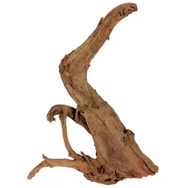 Malaysian Driftwood, XXL 27" - 31"