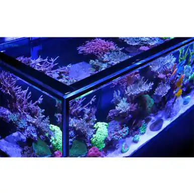 Red Sea REEFER Peninsula S 700 G3, 150 Gal. Aquarium Kit, White