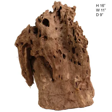 Malaysian Driftwood, Super WYSIWYG 16" x 11.5" - AquaCave