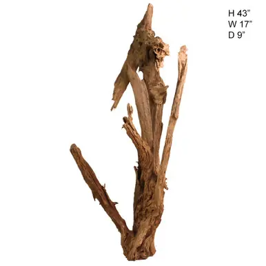 Malaysian Driftwood, Super WYSIWYG 43" x 17" - AquaCave