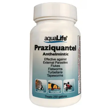 Praziquantel – Treats 250 Gallons - AquaLife