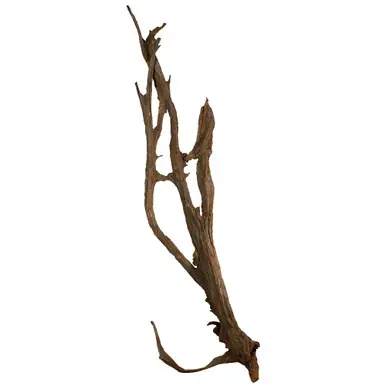 SOLD - Malaysian Driftwood, Super WYSIWYG 64" x 21"