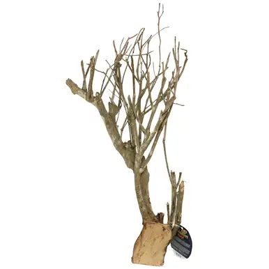 ZooMed Talawa Mangrove Root, X-Large (up to 30")