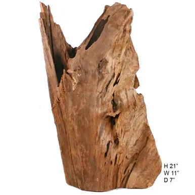 SOLD - Malaysian Driftwood, Super WYSIWYG 21" x 11"