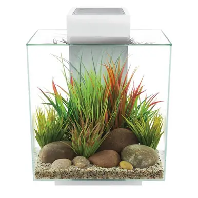 Fluval Edge 2.0 12 Gallon Aquarium, White