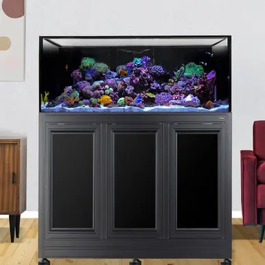 IM INT 100 Aquarium w/ APS Stand - Black