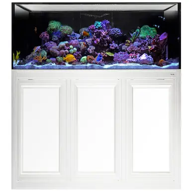 IM INT 100 Gallon Complete Reef System – White - Innovative Marine