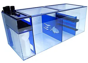Trigger Systems Sapphire 39 Refugium Sump